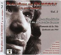 Various Artists - Fiesta Gitana Con.Vol.2 [Import]