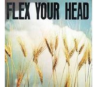 Various Artists - Flex Your Head [Import]