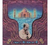 Various Artists - from Here to Tranquility 1