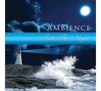 Various Artists - Global Journey: Ambience-Into The Night
