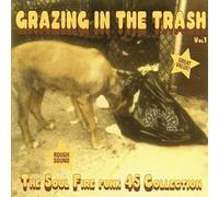 Various Artists - Grazing in The Trash 1