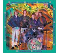 Various Artists - Green Crystal Ties 2: Best of Garage Band Scene