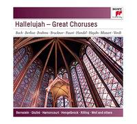 Various Artists - Arnold Schoenberg Chor - Hallelujah - Große Chöre