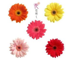 Various Artists - Hana Ha Saku NHK Orch. Flowers Will Bloom