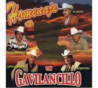 Various Artists - Homenaje a Un Gavilancillo