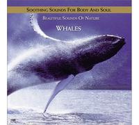 Various Artists - Humpback Whale Serenade