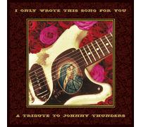 Various Artists I Only Wrote This Song for You: A Tribute to Johnny Thun (Vinyl)