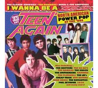Various Artists – I Wanna Be a Teen Again: American Power Pop 1980–1989 – CD – Edel