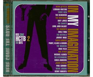 Various Artists - in My Imagination: Here Come The Boys 2