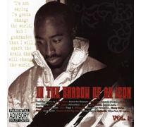 Various Artists - in The Shadow of an Icon