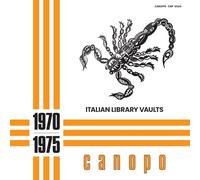 Various Artists - Italian Library Vaults / Various [Vinyl LP]