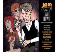 JEM RECORDS – Celebrates David Bowie – Vinyle – Pochette illustrée rétro noir/violet/orange
