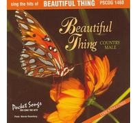 Various Artists - Karaoke: Beautiful Thing