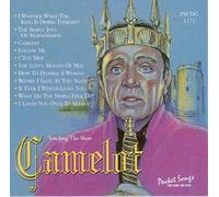 Various Artists - Karaoke: Camelot