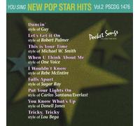 Various Artists - Karaoke: Pop Star Hits 2