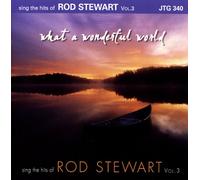 Various Artists - Karaoke: Rod Stewart What a Wonderful