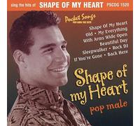Various Artists - Karaoke: Shape of My Heat
