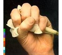 Various Artists - Lament