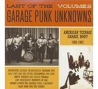 Various Artists - Last of the Garage Punk2