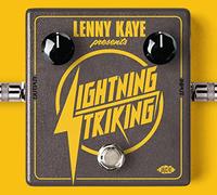 Various Artists – Lenny Kaye Presents Lightning Striking – CD – Import UK