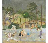 Various Artists Let's Go Dancing: Said the Firefly to the Hurricane (Vinyl)