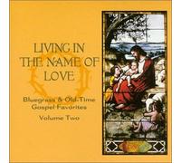 Various Artists - Living in The Name of Love