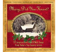 Various Artists - Mary Did You Know: 17 Inspirational Songs