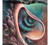 The Orchard – Meddle Reimagined – a Tribute to Pink Floyd