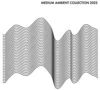 Various Artists Medium Ambient Collection 2022 White / Various (Vinyl)