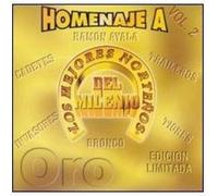 Various Artists - Mejores Nortenos Del Milenio 2