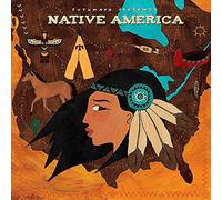 Various Artists - Native American