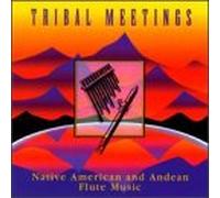 Various Artists - Native American & Andean Flute Music