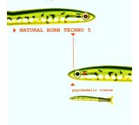 Various Artists - Natural Born Techno 5: Psyched