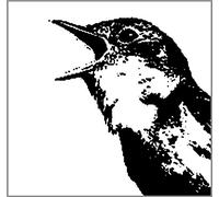 Various Artists - Nightingale Variations [Import]