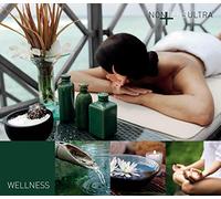 Various Artists – Nonplusultra-Wellness – Import