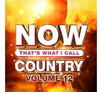 Various Artists - Now That's What I Call Country Volume 12