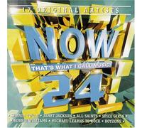 Various Artists - Now That's What I Call Music 24 (South Africa Series)