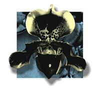 Various Artists - Nowhere02 [Import]