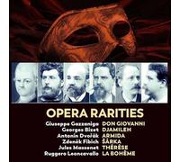 Various Artists - Opera Rarities [Cd] Boxed Set