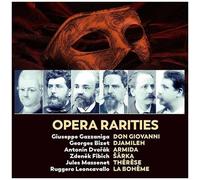 Various Artists - Opera Rarities [Cd] Boxed Set
