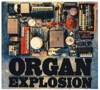 Various Artists - Organ Explosion