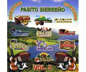 Various Artists - Pasito Sierreno 20 Exitos 3