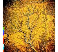 Various Artists - Passion Sources