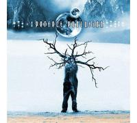 Various Artists - Perfect Evolution [Import]