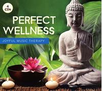 Various Artists – Perfect Wellness – Import