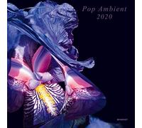 VARIOUS ARTISTS - POP AMBIENT 2020 - Vinyl Record - G4z