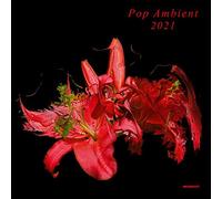 VARIOUS ARTISTS - POP AMBIENT 2021 - Vinyl Record - F600z