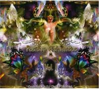 Various Artists - Positive Alchemi..1 -10tr