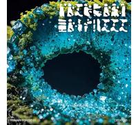 Various Artists - Primary Forest 03 [Vinyl LP]