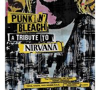 Various Artists Punk N' Bleach: A Punk Tribute to Nirvana (Vinyl) 12" Album